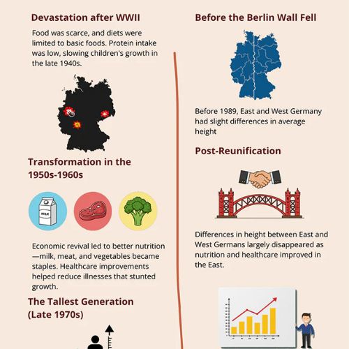 The Complete Guide to the Average Height in Germany